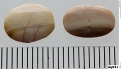 Foto von Opal (Hydrophan) (NHMW-MIN-Aq931)